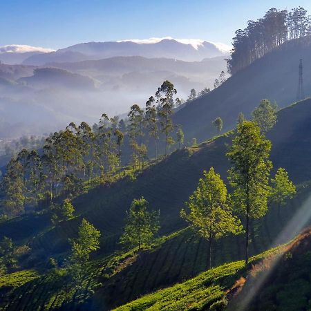 Grace Inn Munnar Homestay Ngoại thất bức ảnh
